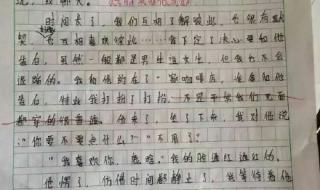 什么是幸福作文