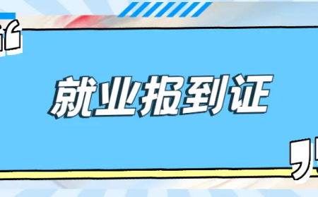 2023年起取消就业报到证 报到证取消