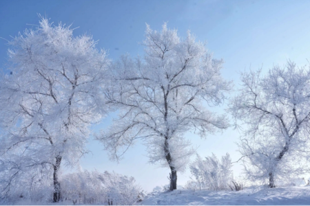 关于雪的浪漫句子 雪的唯美短句